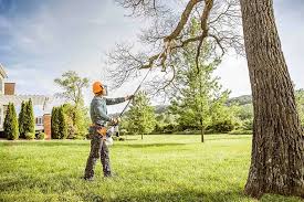 Best Tree and Shrub Care  in Duquesne, PA